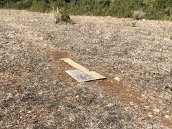 Ollionton Airport.jpg