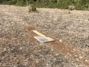 Ollionton Airport.jpg