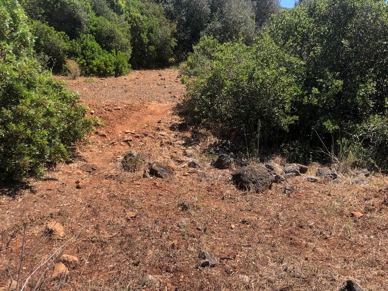 File:Cranny heights Skyline.jpeg