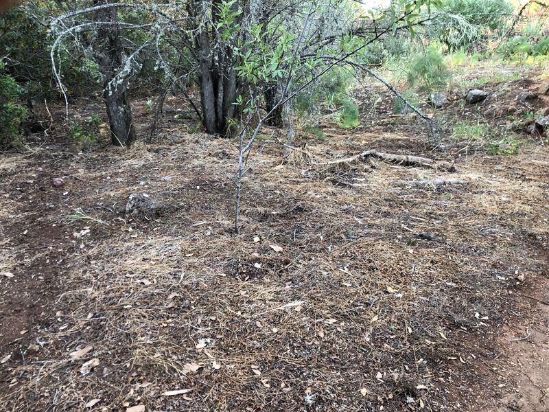 File:Turshkup Skyline.jpg