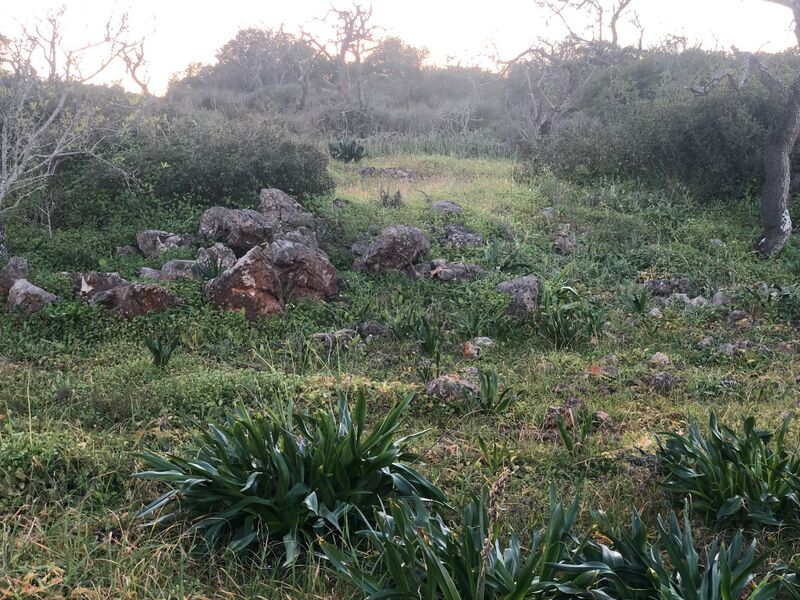 File:Mosslyn Skyline.jpeg