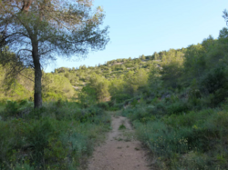 Xicalló Baix from Veluria.png
