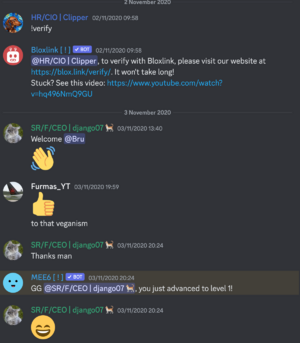First Messages In Clipper Airlines Discord.png