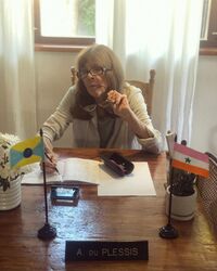 Annette working in embassy.jpeg