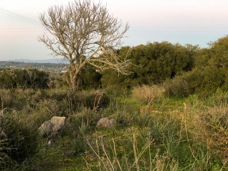 File:Swampington Skyline.jpeg