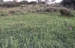 Irshland Aerodrome.jpg