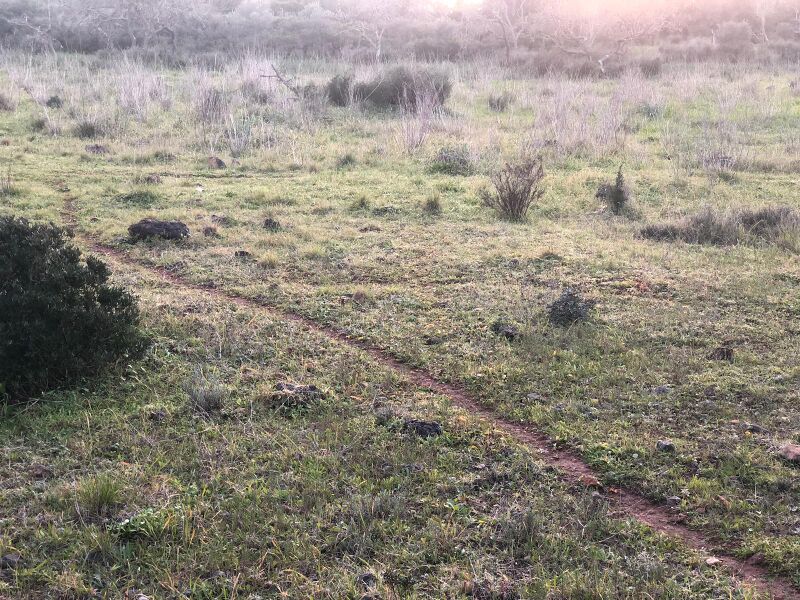 File:Annastown Skyline.jpeg