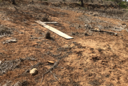 Knowingsburg Airport.png