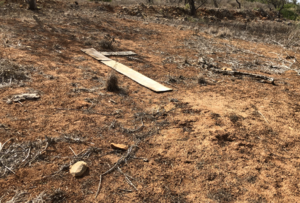 Knowingsburg Airport.png